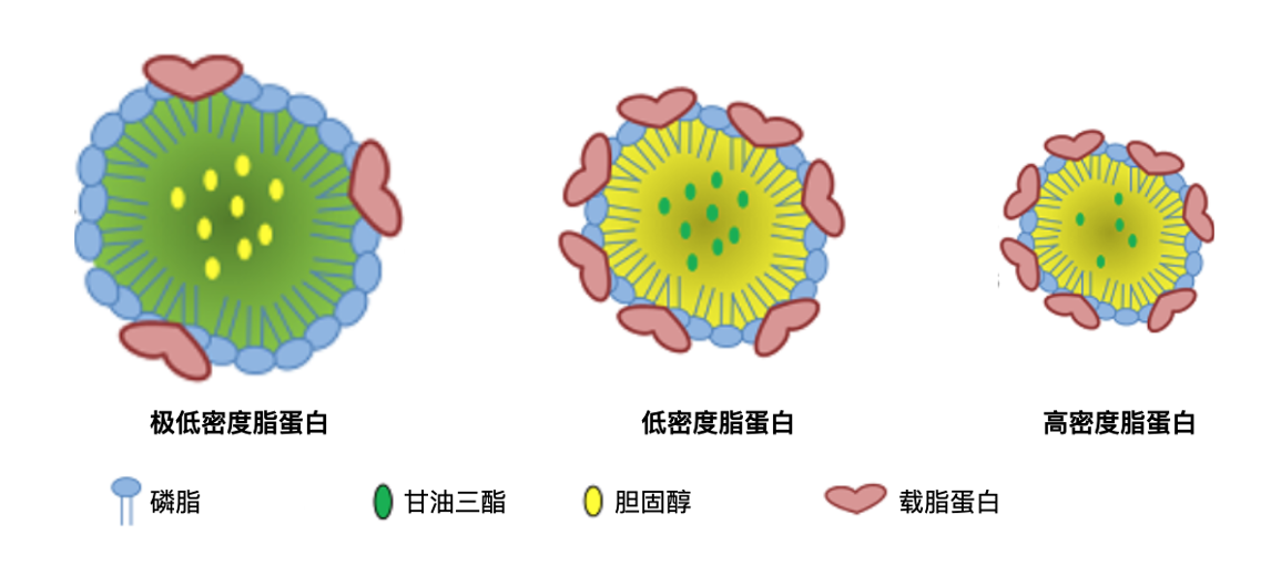WX20201106-153122@2x.png
