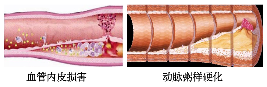WX20201106-154031@2x.png